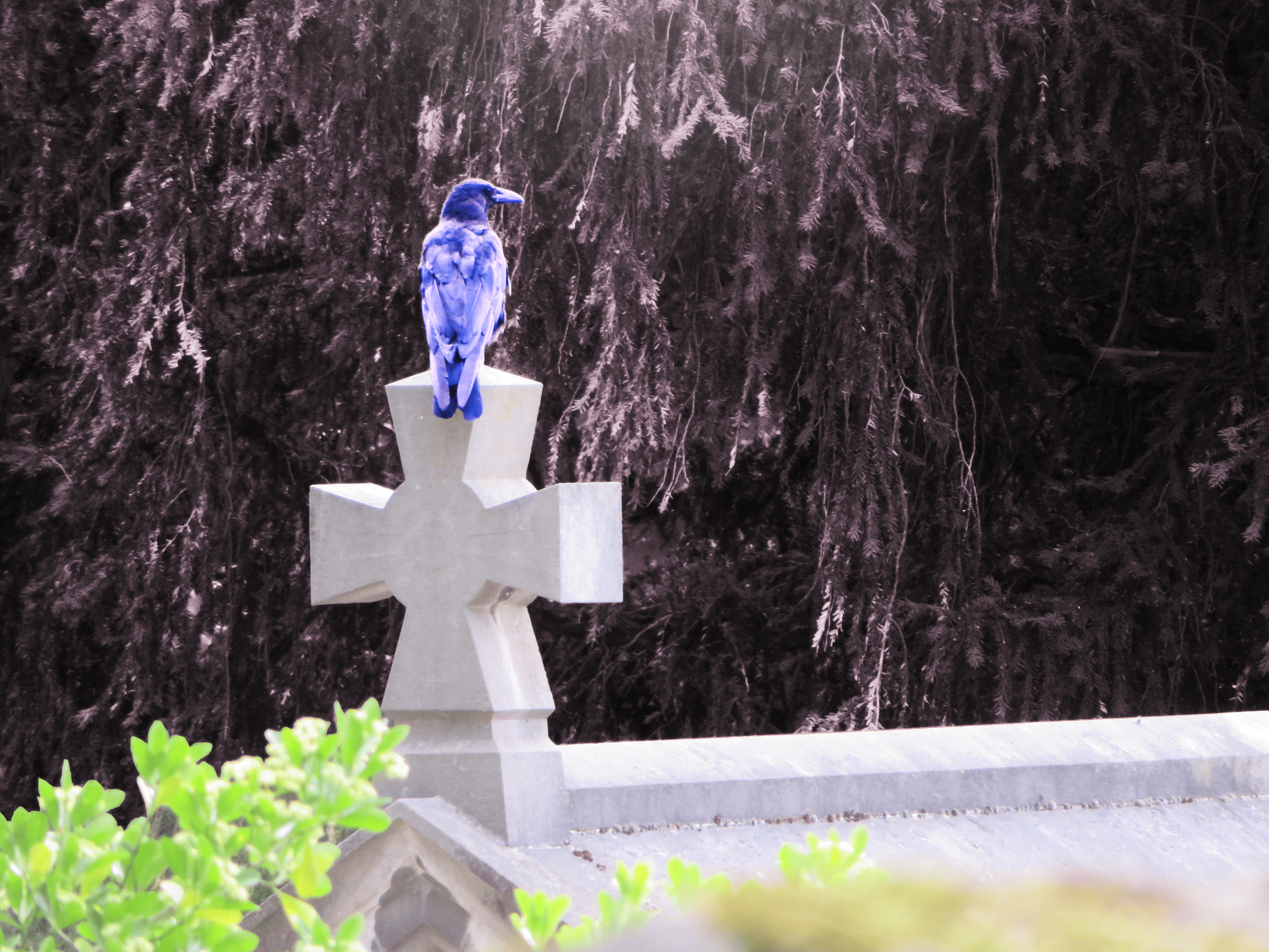 Defender Against the Dark project image